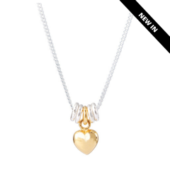Heart and Hoops Necklace